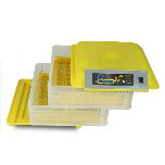 00-00001043_00-00001043