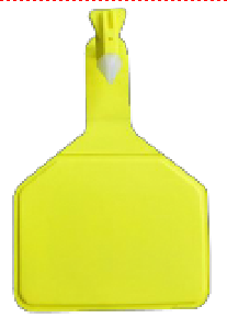 VS201      _00-00001287